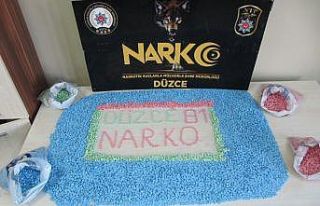 Düzce’de 24 bin 703 adet uyuşturucu hap ele geçirildi