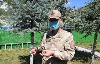 Ebabil kuşu jandarmanın bahçesine kondu