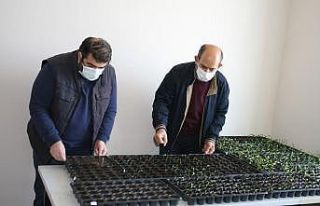 Edirne Kırmızısı’na tarımsal yaklaşım