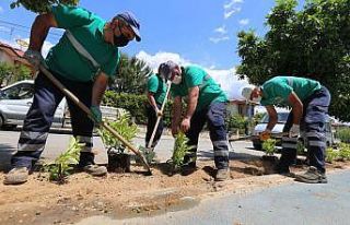 Efeler Belediyesi bisiklet yolunu çiçeklendirdi