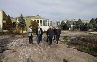 Efteni sağlık turizmine açılıyor