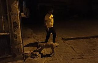 Ekmeğini yoldan geçen köpekle paylaştı, ’insanlık...