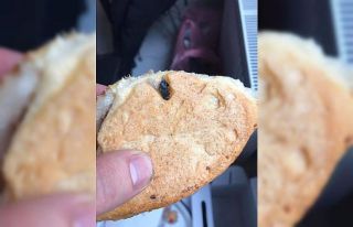 Ekmekten sinek çıktı