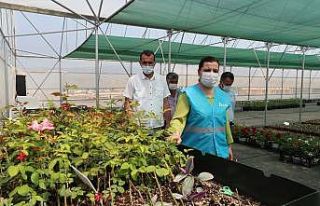 Ekolojik Yaşam Bahçesi açılışa hazırlanıyor