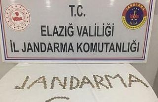 Elazığ’da 186 adet sikke ele geçirildi
