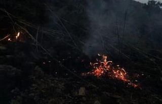 Elazığ’da yıldırım yangına neden oldu