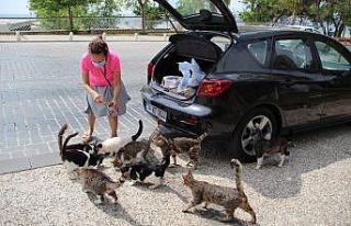 Emekli tekstil mühendisi kadın, maaşının yarısıyla...