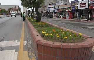 Erciş Caddeleri çiçeklerle süsleniyor