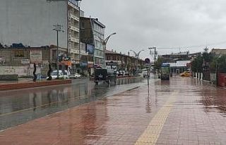 Erciş’te yağmur çiftçinin yüzünü güldürdü