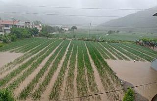 Erdek’te çiftçiler zararlarının karşılanmasını...