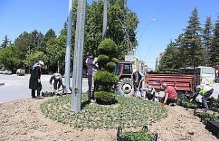 Ereğli Belediyesinden çiçeklendirme çalışmaları