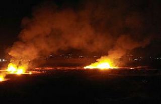 Erzincan’da kuş cennetinde yangın