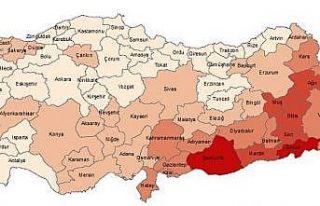 Erzurum Doğum istatistikleri açıklandı
