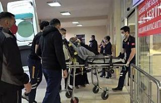 Eşeğin saldırısına uğrayan yaşlı adam yaralandı