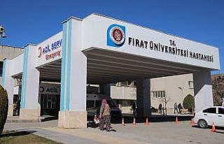 Eşek, çocuğun kafasını ısırdı