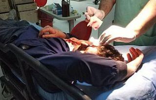 Eşekten düşen şahıs ölümden döndü