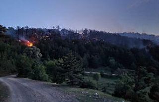 Eskişehir’de orman yangını