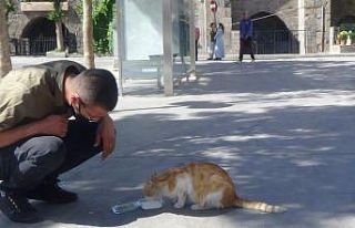 Esnaf ve vatandaşlar sokak hayvanlarını yalnız...