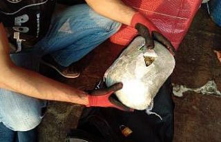 Ev eşyası yüklü kamyondan 175 kilo 500 gram esrar...
