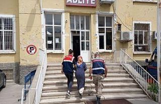 FETÖ terör örgütü üyesi kadın tutuklandı