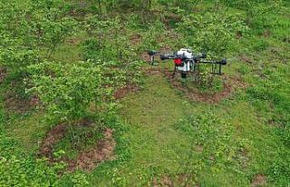 Fındık tarımında ilk: ZİHA