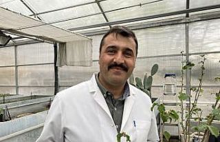 Fındık üreticilerine müjde