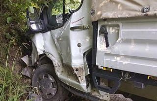 Freni boşalan kamyonet yol kenarına çarparak durabildi:...