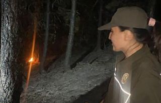 Gece karanlığından orman yangınına kadın eli