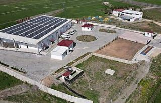 Genç girişimci, devletin desteğiyle 14 milyonluk...