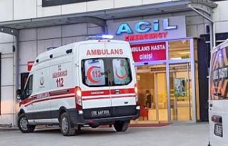Gercüş’te 2 kişiyi yılan soktu