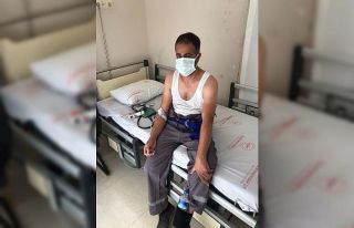 Gercüş’te bir kişiyi akrep soktu