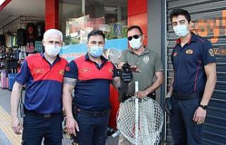 Girdiği yerden çıkamayınca ekipler seferber oldu