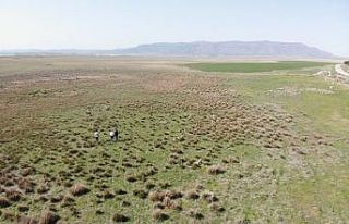 Göçmen kuşların uğrak yeri Beylerli Gölü kuraklığa...