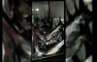 Gökçeada’da yasa dışı kılıç balığı avcılığı