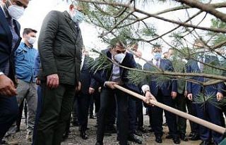 Gökdere Millet Bahçesi’nin ilk fidanı Bakan Kurum’dan