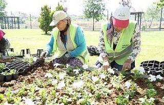 Gölbaşı’nda kişi başına düşen yeşil alan...