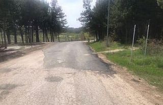 Gölpark Mesire Alanı’nın köstebek yuvasına...