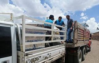 Gürpınar Belediyesinden mahallelere çöp konteyneri