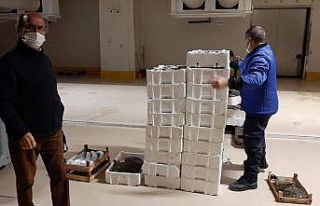 Gürpınar Su Ürünleri Hali’nde denetim