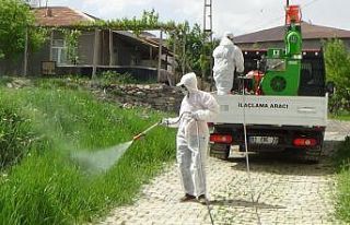 Hakkari’de çekirge istilası
