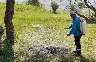 Hakkari’de keneyle mücadele çalışması
