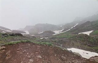 Hakkari’de mayıs ayında kar yağışı