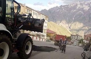 Hakkari’de yol onarım çalışması