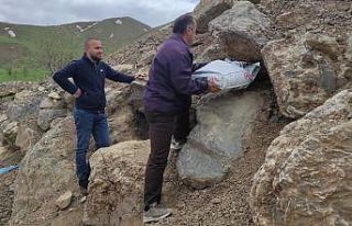 Hakkari’nin maskotu tilkiler için yiyecek bırakıldı