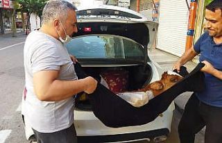 Hasta buzağıyı lüks otomobille kliniğe getirdi