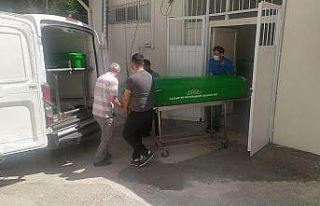 Hasta oğlunu ziyarete giderken kazada öldü