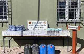 Hatay, Van, Hakkari ve Iğdır hudut hatlarında 55...