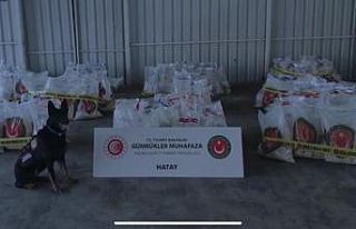 Hatay’da 313 milyon lira değerinde Captagon ele...
