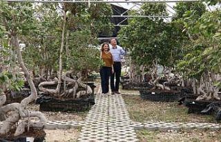 Hatay’da kadınlar süs bitkisi yetiştirecek