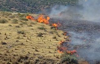 Hatay’da makilik yangını